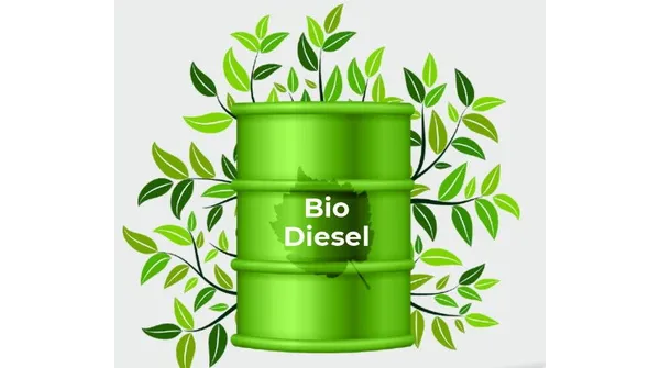 The Benefits and Challenges of Biodiesel for Diesel Generators | Topper
