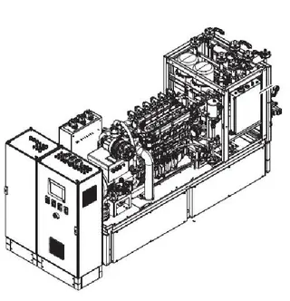 What is Gas System of Natural Gas Generators
