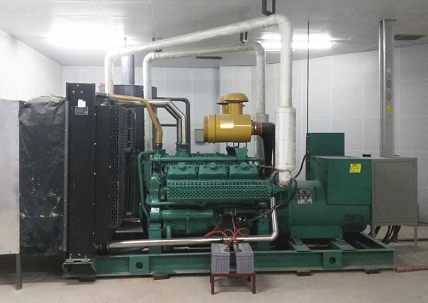 Diesel Generator Vibration