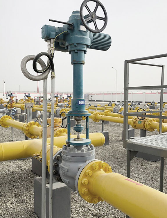 VALVE FOR PETROCHEMICAL USE