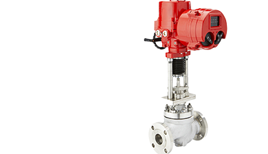 Globe Control Valves