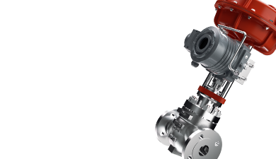Balanced Control Valves
