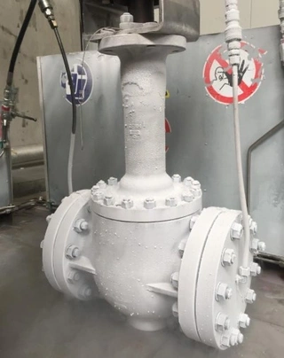 Cryogenic Control Valves
