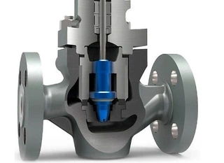 Control Valve Trim