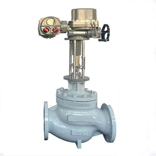 ASTM A216 WCC Globe Control Valve, 8 IN, 150 LB, Cage Guided