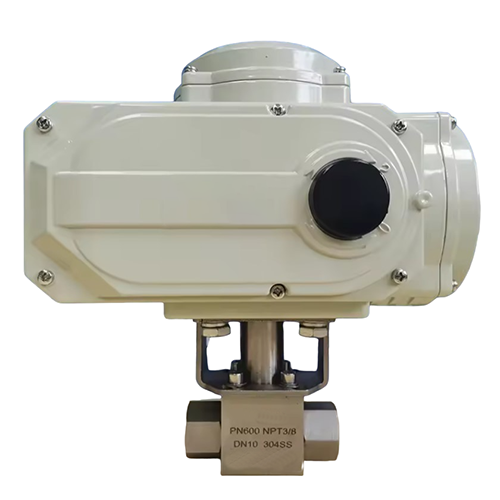 SS 304 Ball Control Valve, 3/8 IN, PN600, Electric, NPT Ends