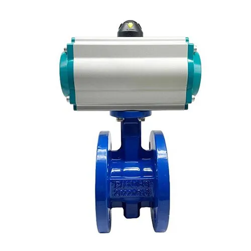 QT450 Butterfly Control Valve, 2 Inch, CL150 LB, EPDM Seated