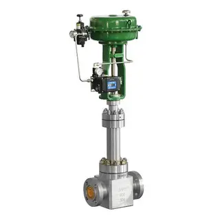 Bellows Seal Globe Control Valve, SS 304, 1-1/2 Inch, 900 LB