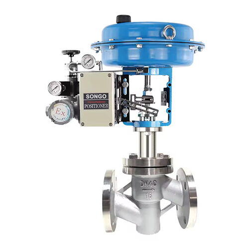 SS 304 Globe Control Valve, 1-1/2 Inch, 150 LB, Single Seat
