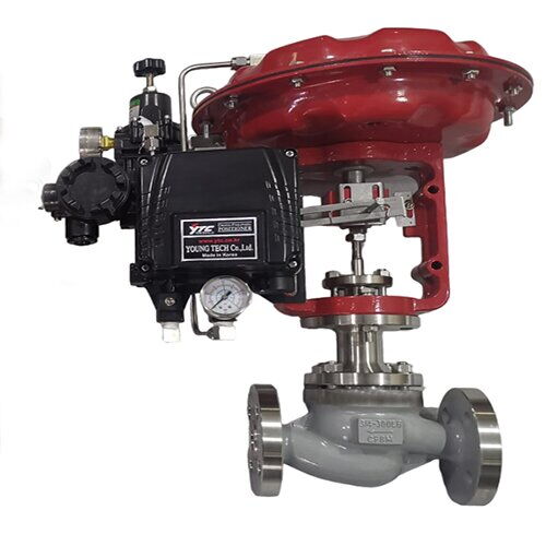 ASTM A351 CF8M Globe Control Valve, 3/4 IN, CL300, Flanged
