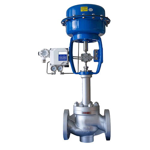 Extended Bonnet Globe Control Valve, 3/4-12 Inch, CL 150-600