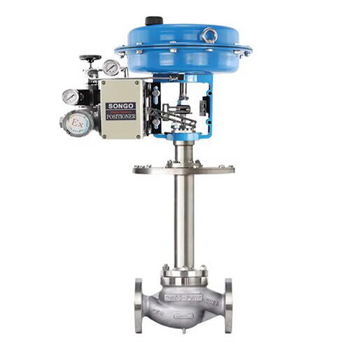Low Temperature Globe Control Valve, A351 CF8, 2 IN, CL 150