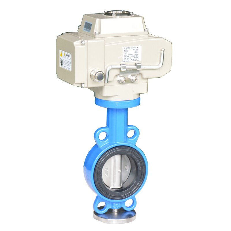 Explosion Proof Control Valve, Motorized, CF3M, 2-40 IN