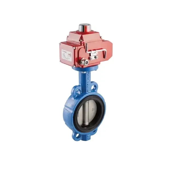 Wafer Electric Butterfly Control Valve, GG25, DN50-DN300