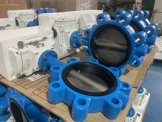 Quarter-turn Butterfly Control Valve