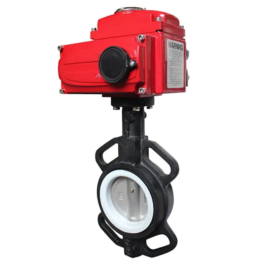 Electric Butterfly Control Valve, PTFE Seated, DN50-DN600