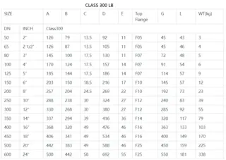 CLASS 300 LB