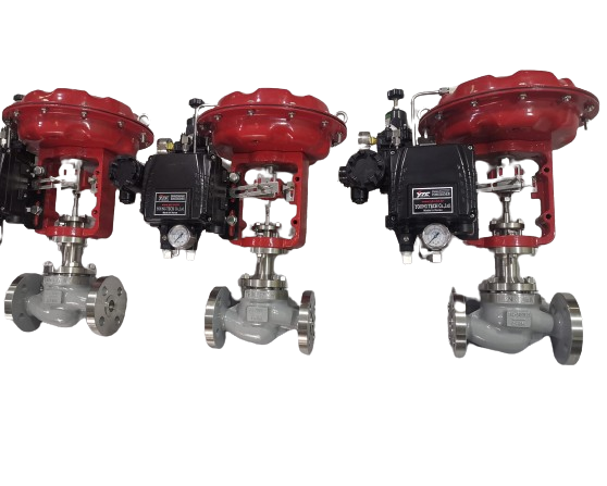 Diaphragm Pneumatic Globe Control Valve, 3/4 IN, 300LB, CF8M