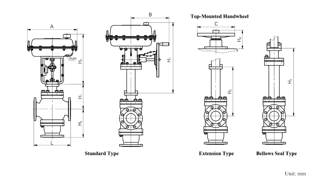 Globe control valve