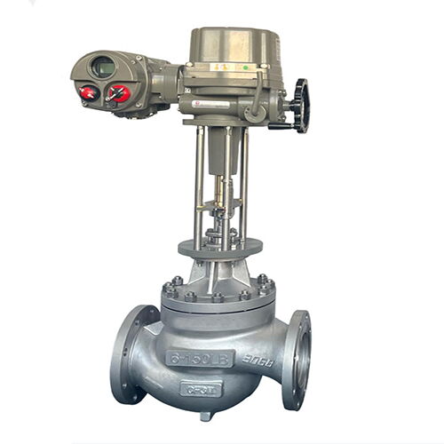 Electric Globe Control Valve, ASTM A351 CF3M, 6 Inch, 150 LB
