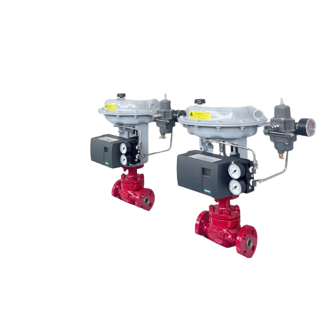 Pneumatic Cage-Guided Single-Seated Control Valve, 2IN, CL600