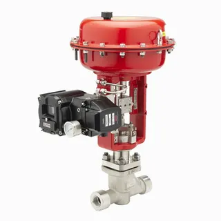 Cage Guided Control Valve, Low Noise, 1/2-24 Inch, A216 WCB