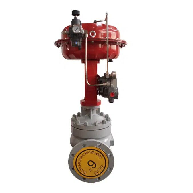 Straight-Through Cage Control Valves, 6 Inch, 150 LB, WCB