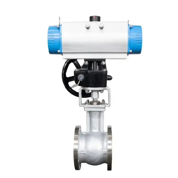 Plug Control Valve