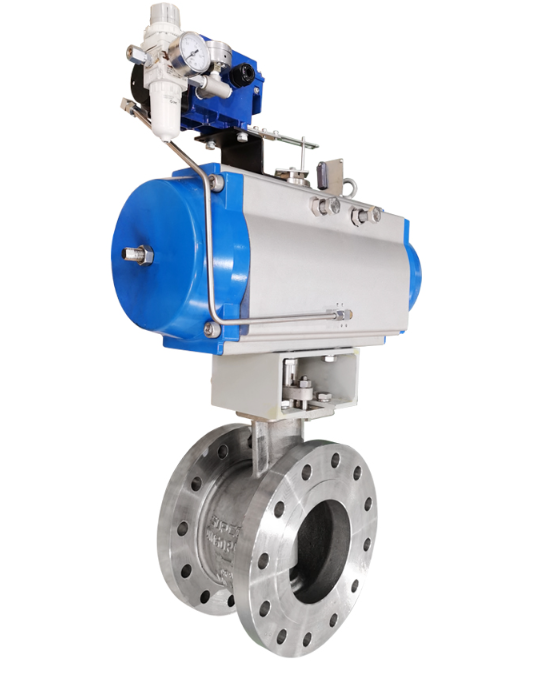 Eccentric Rotary Control Valve
