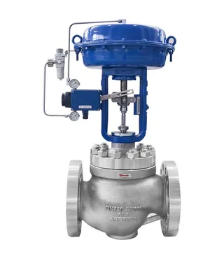 Comprehensive Guide to Cage-Guided Globe Control Valves