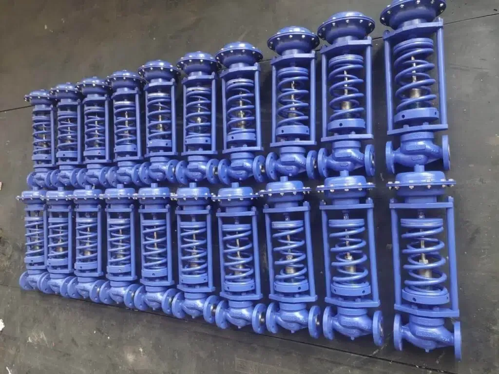 Self-Operated Control Valve