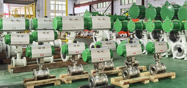 Eccentric Plug Valve