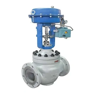 Cage Guided Globe Control Valve