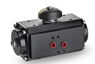 Pneumatic Actuator