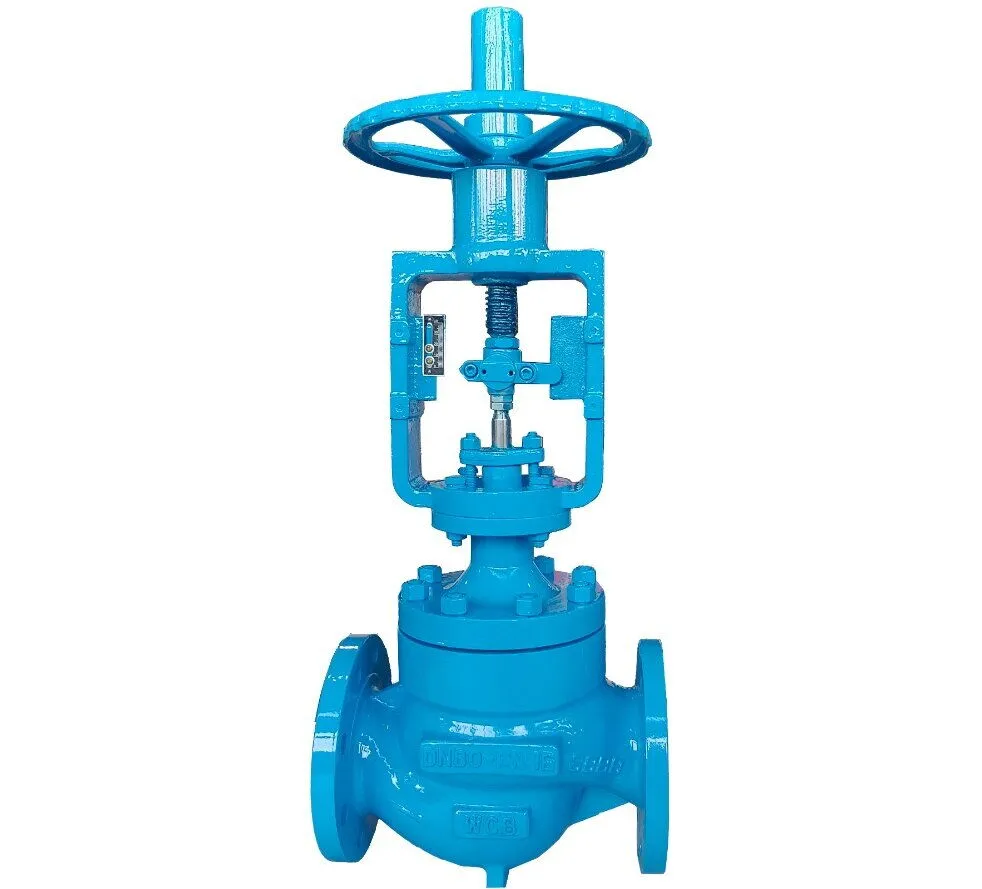 Hand-Operated Globe Control Valves: A Comprehensive Overview