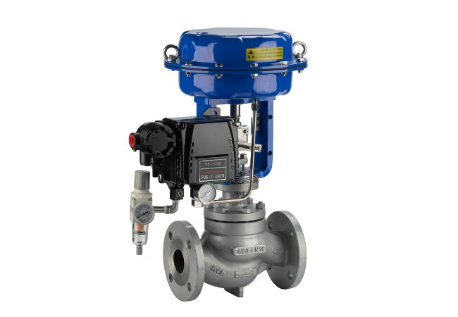 Pneumatic globe control valve