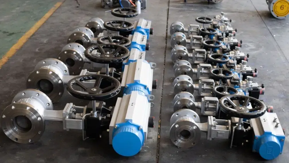 Eccentric Plug Control Valve