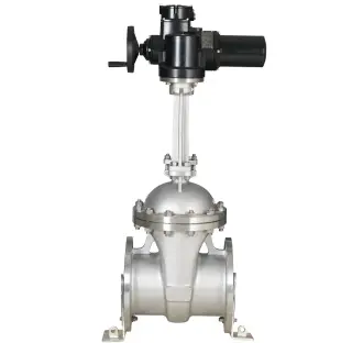 Motorized Gate Valve