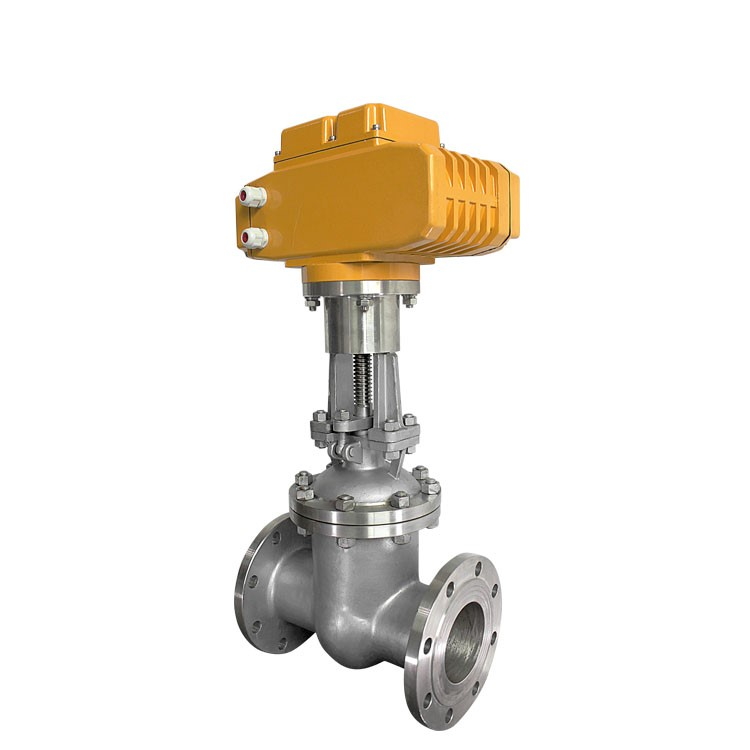 Electric Actuated Gate Valve