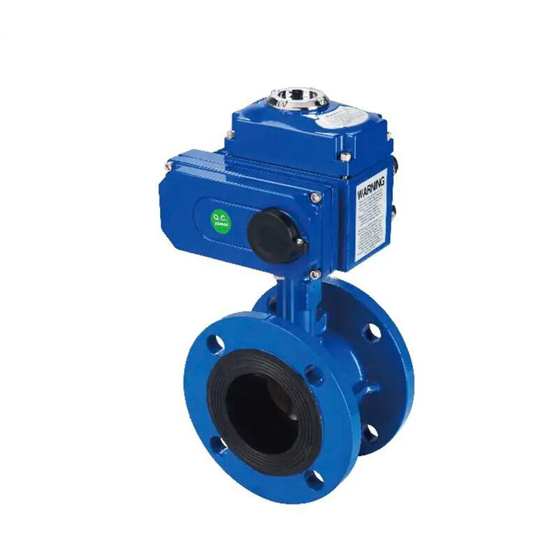 Cast Iron Butterfly Control Valve, 2-8 Inch, 150 LB, Flanged