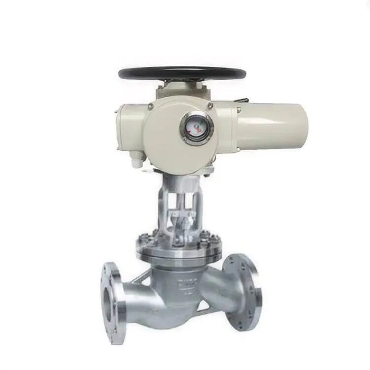 Electric Rotary Globe Control Valve, Cast Iron, 2-40 Inch