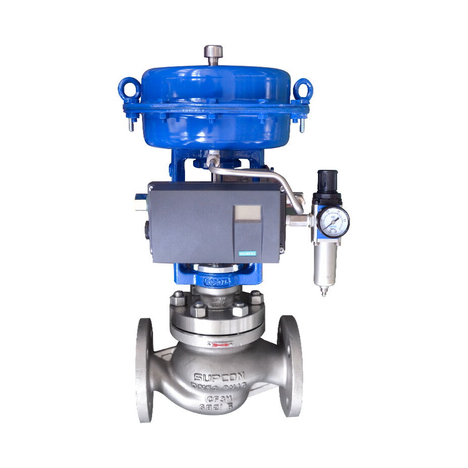 Single Seat Globe Control Valve, ASTM A351 CF8M, 2 IN, 150 LB