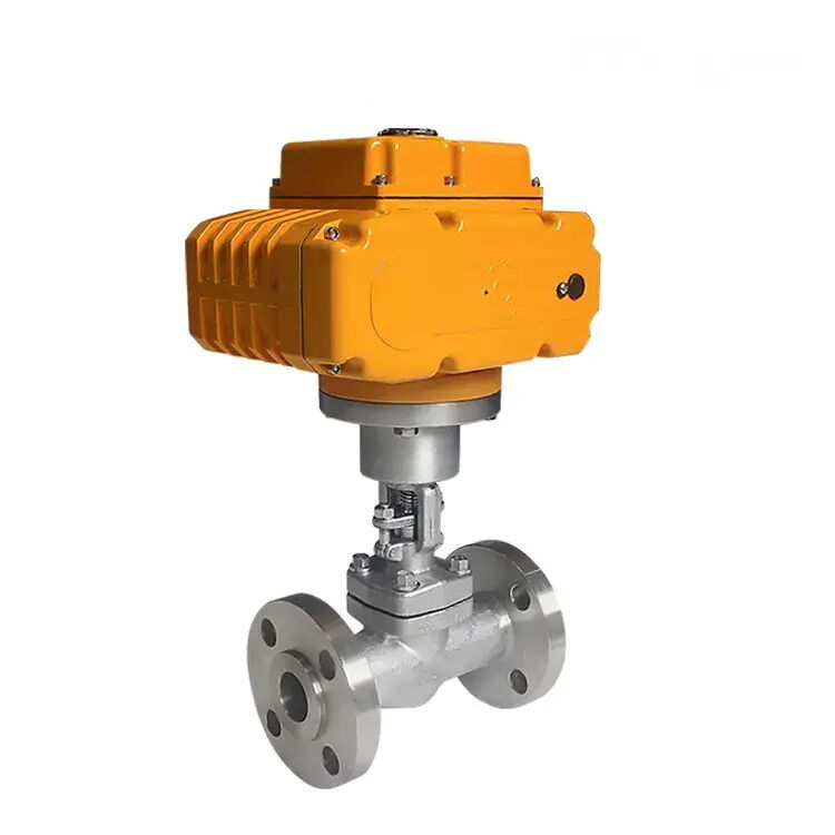 SS Explosion-proof Globe Control Valve, 1/4-12 Inch, 150 LB