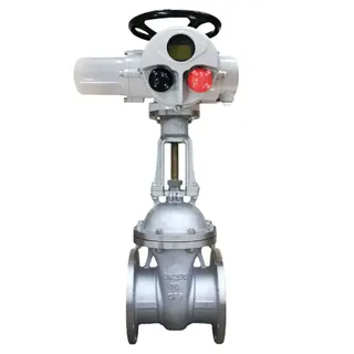 Multi-turn Electric Control Valve, ASTM A351 CF8, 1/2-20 IN