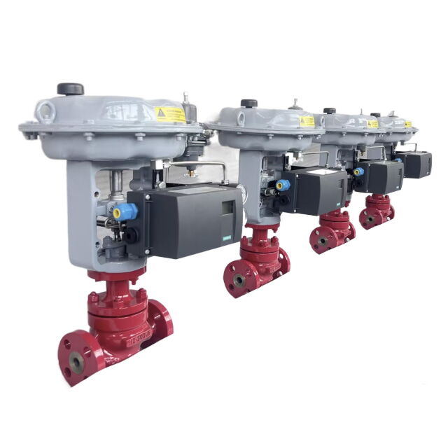 Small-Port Single-Seated Control Valve, A351 CF8, 3/4-3 Inch