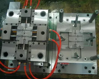 Mold shows 1