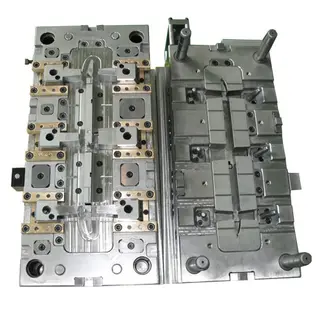Mold shows 2