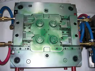 Mold show 6