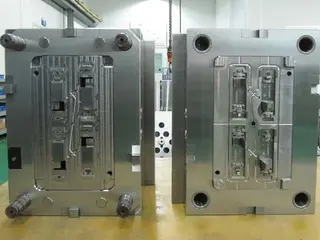 Mold show 3