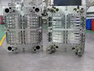 Mold show 4